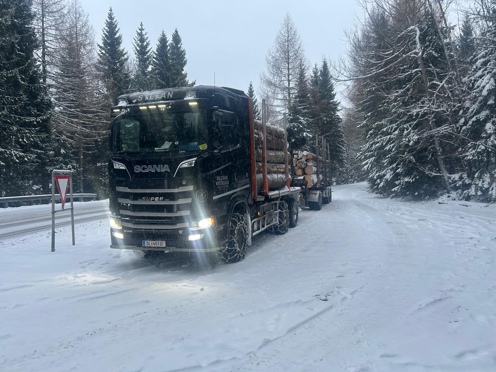 Langholz-Sattelzug mit Stämmladung