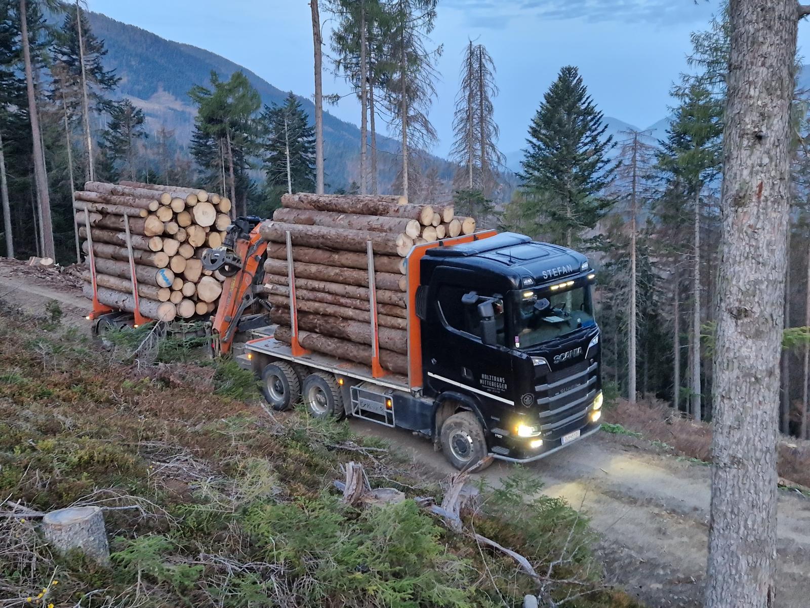 Holztransport-LKW auf dem Waldweg bei Dämmerung